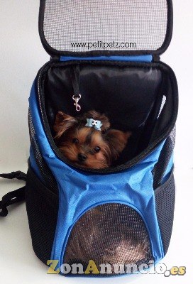 Mochila Transportin para chihuahuas yorkshire cachorros